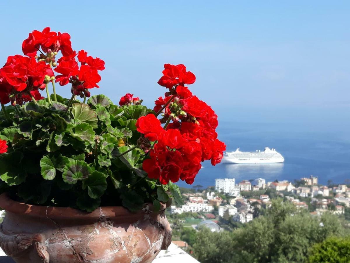 Le Muse Suite Sorrento Esterno foto