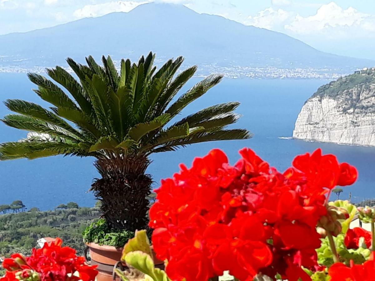 Le Muse Suite Sorrento Esterno foto